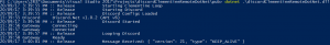 Manually running in Powershell, showing verbose logging of messages received from Clementine and Discord integration starting